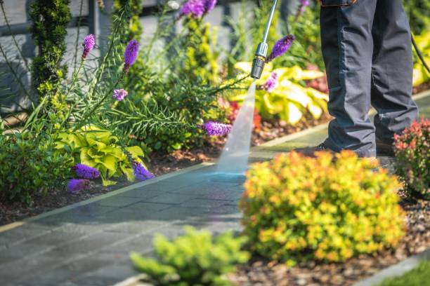 Best Restaurant Pressure Washing  in Madisonville, TX